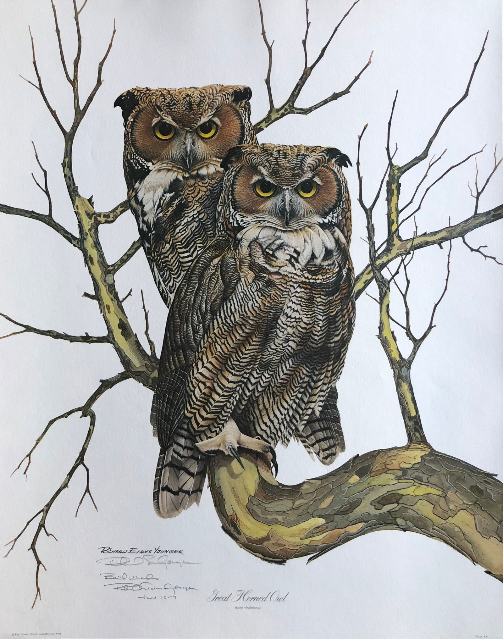 Richard E. Younger "Great Horned Owl" Signed Litho LE (1 of 7)