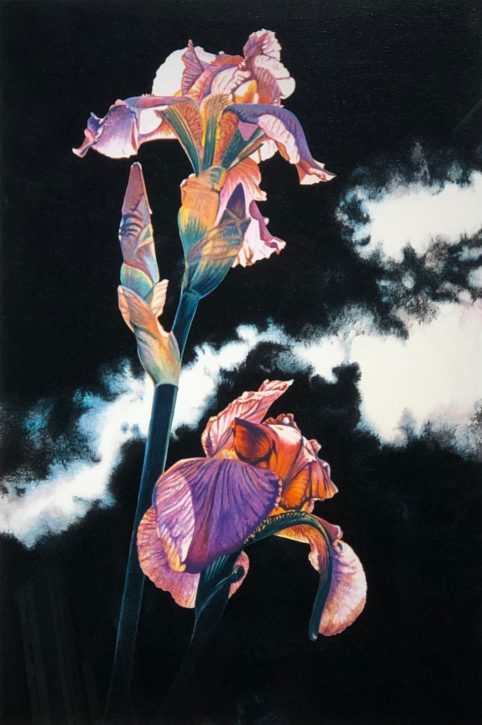 Linda L. Stevens Moyer (Iris) Signed Serigraph LE (1 of 6)
