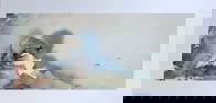 Morten Solberg "Polar Bear" Signed Litho LE