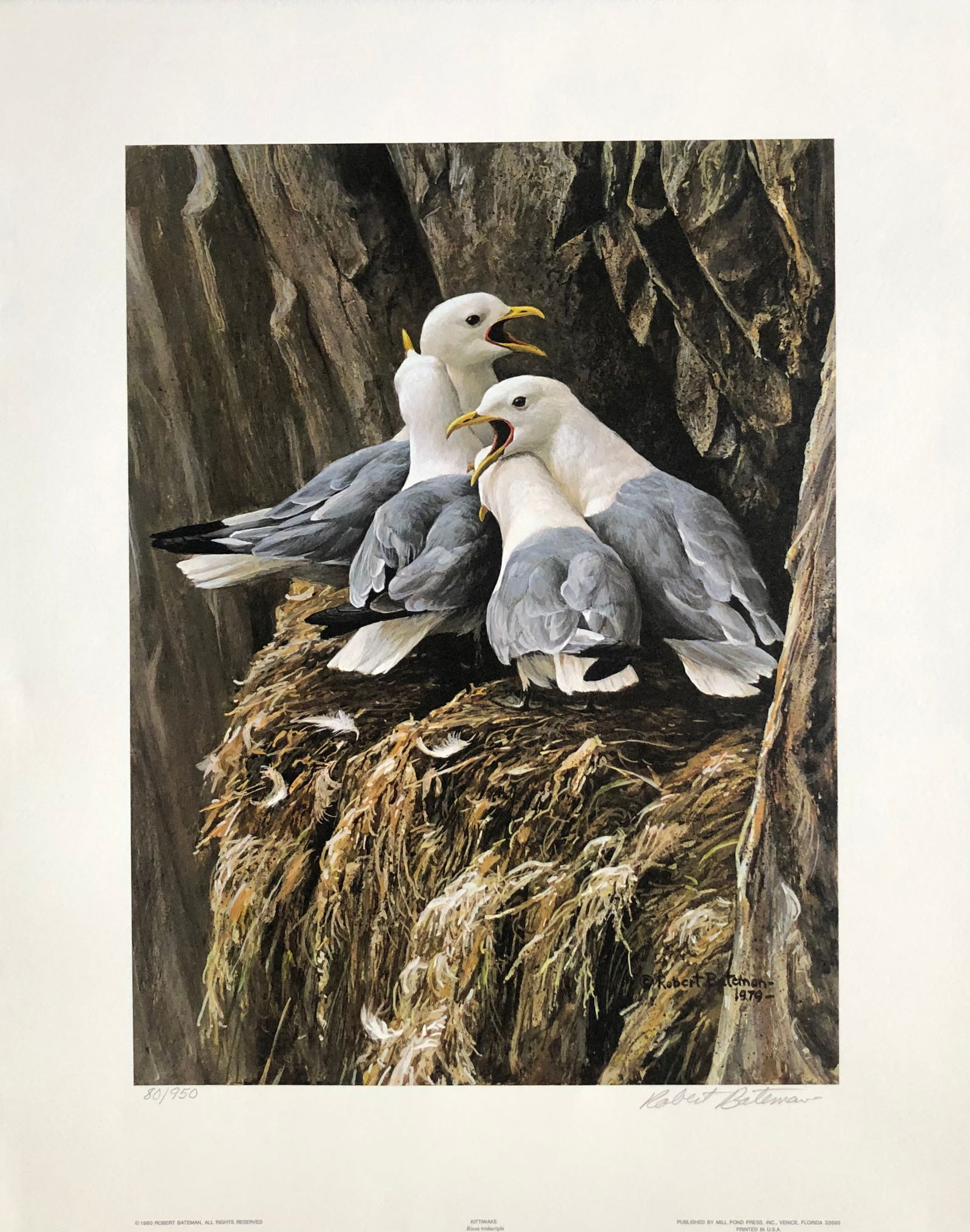 Robert Bateman "Kittiwake Greeting" Signed Litho LE (1 of 6)