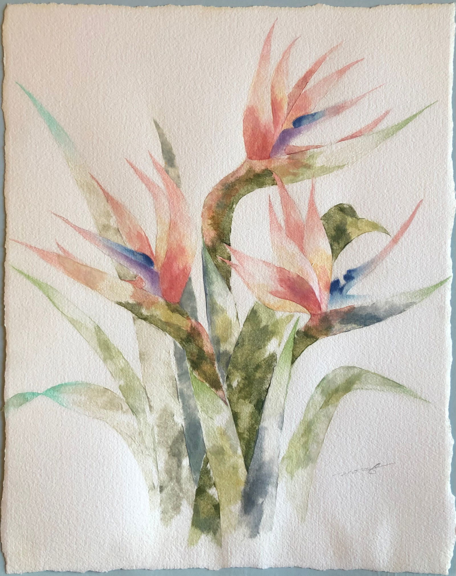 (Bird of Paradise) Signed Original Watercolor (1 of 3)