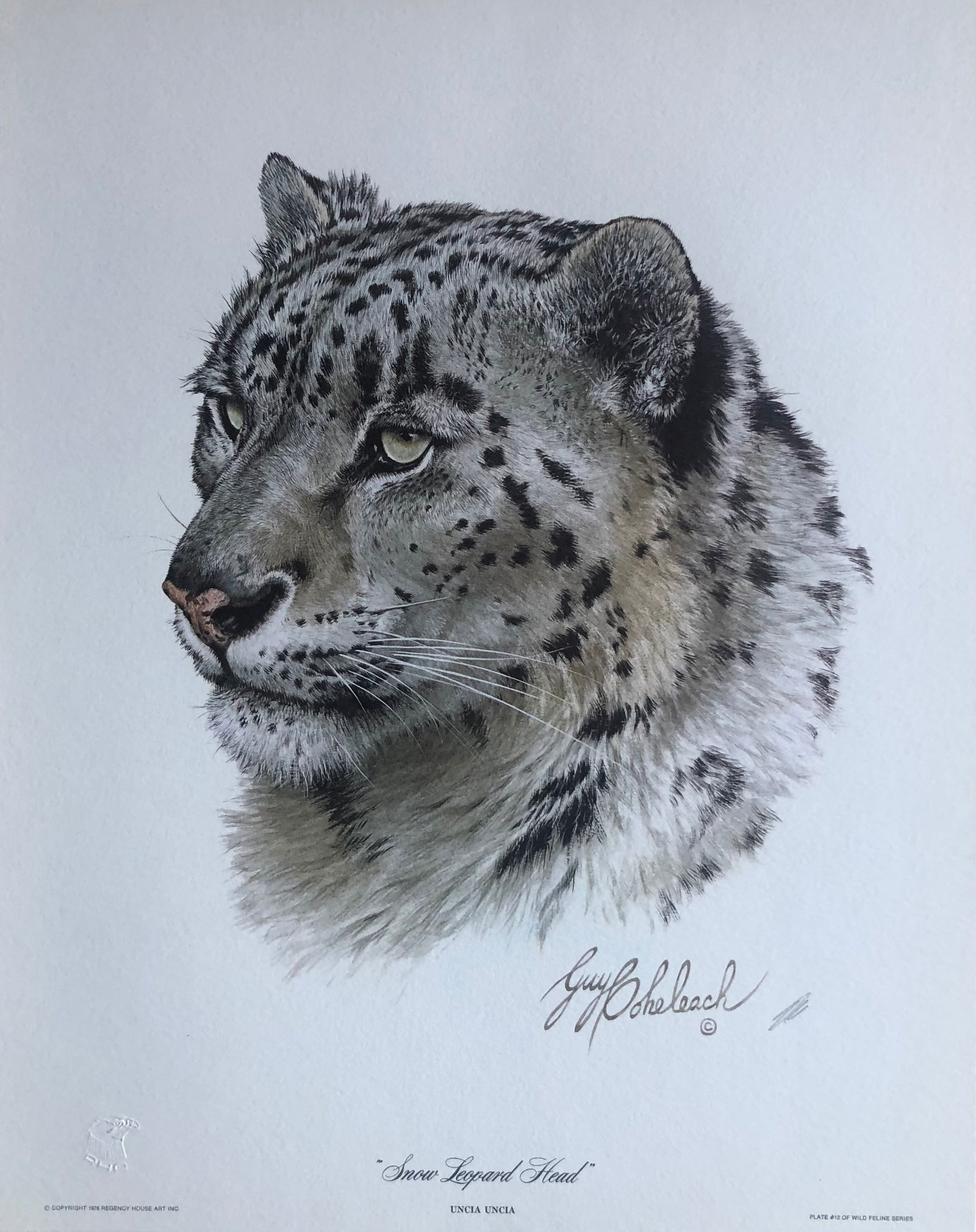 Guy Coheleach "Snow Leopard Head" Signed Litho LE (1 of 6)