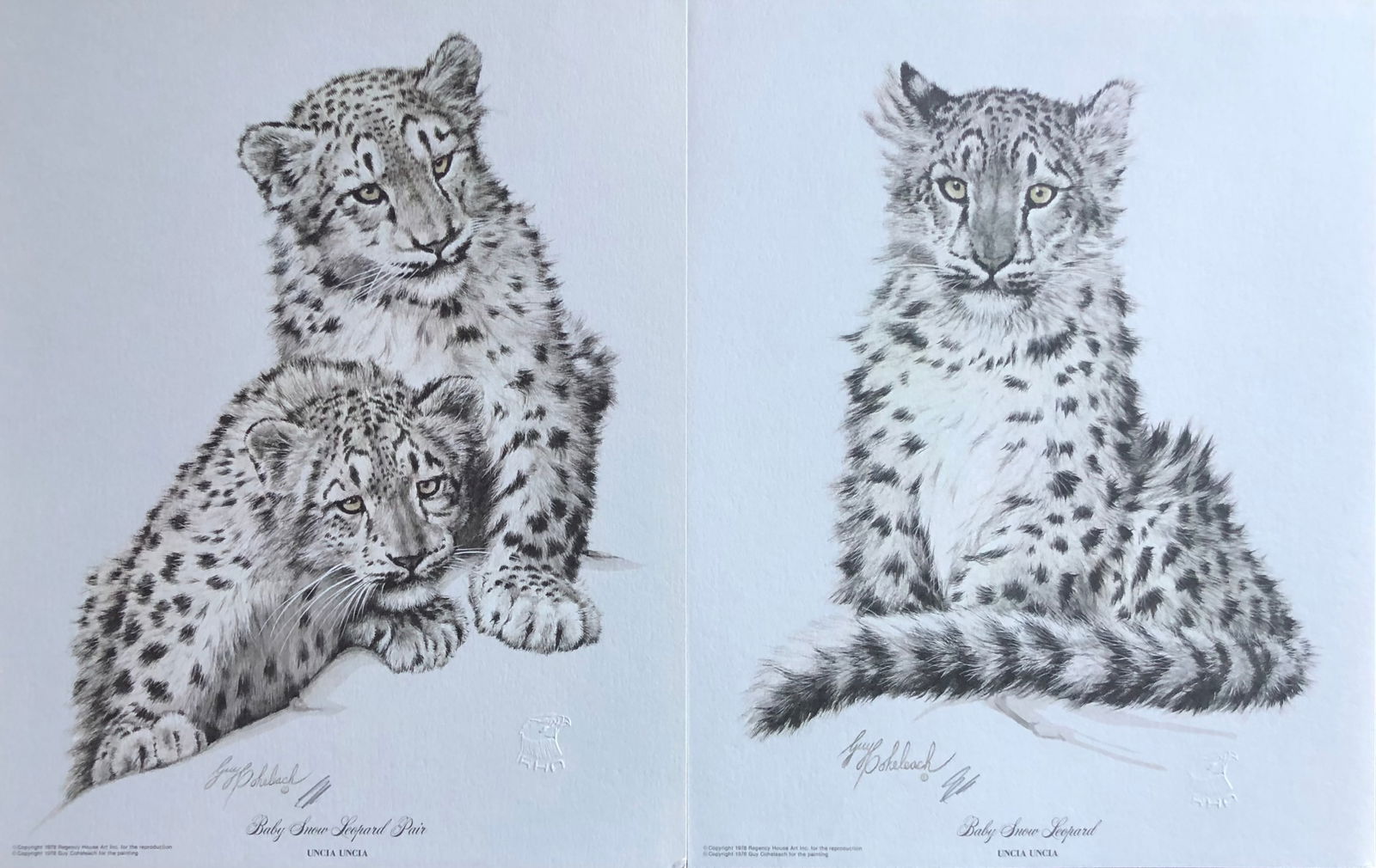 Guy Coheleach "Baby Snow Leopard Pair" Signed Litho (1 of 7)