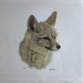 Nick Wilson "Kit Fox" Signed Lithograph