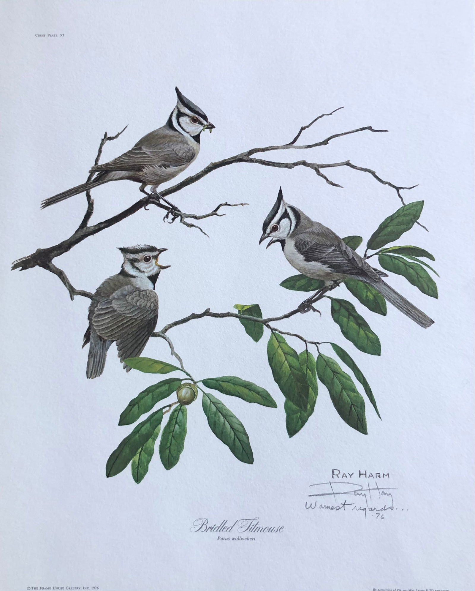 Ray Harm "Bridled Titmouse" Signed Lithograph LE (1 of 6)