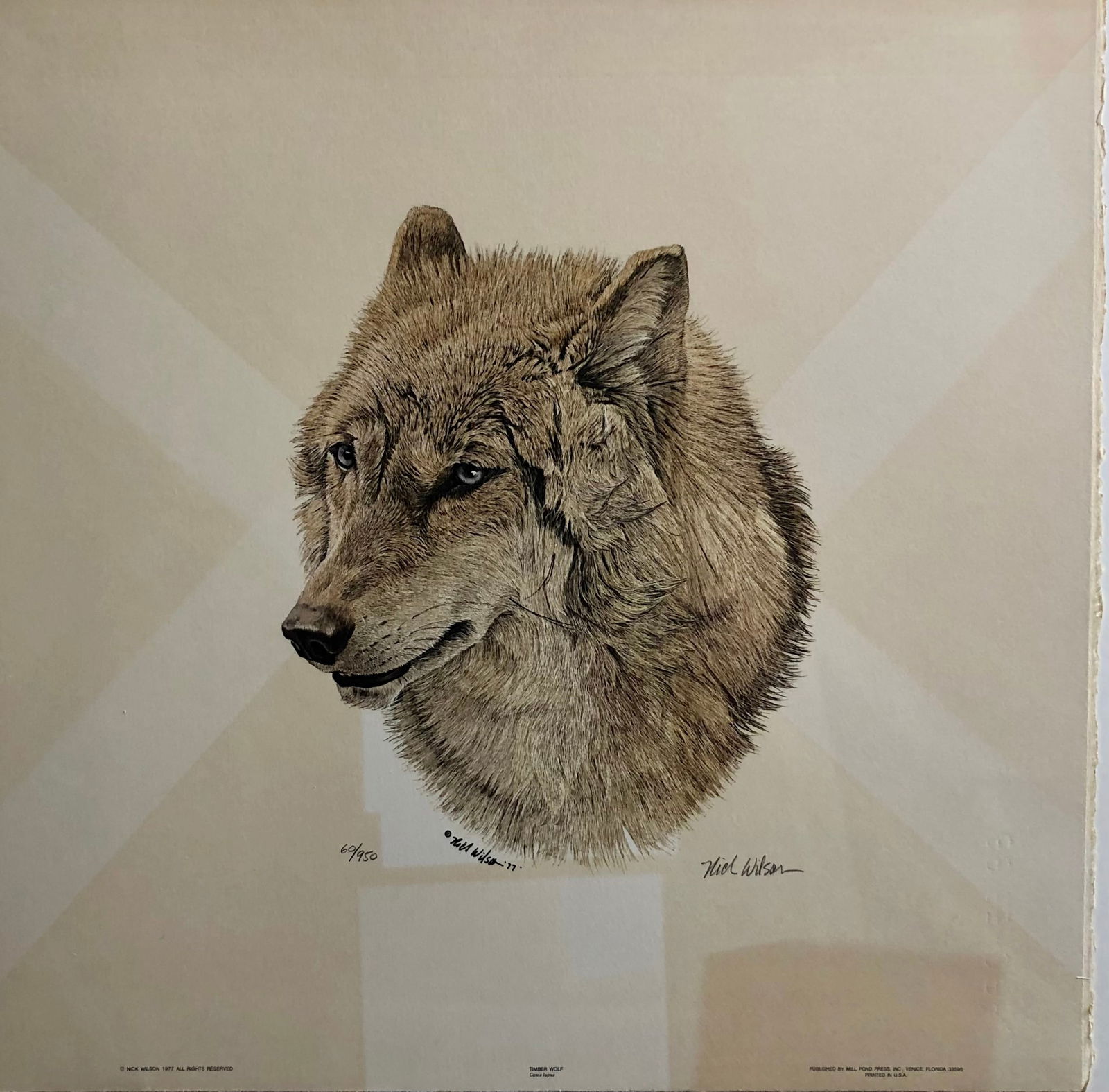 Nick Wilson "Timber Wolf" Signed Lithograph LE (1 of 8)