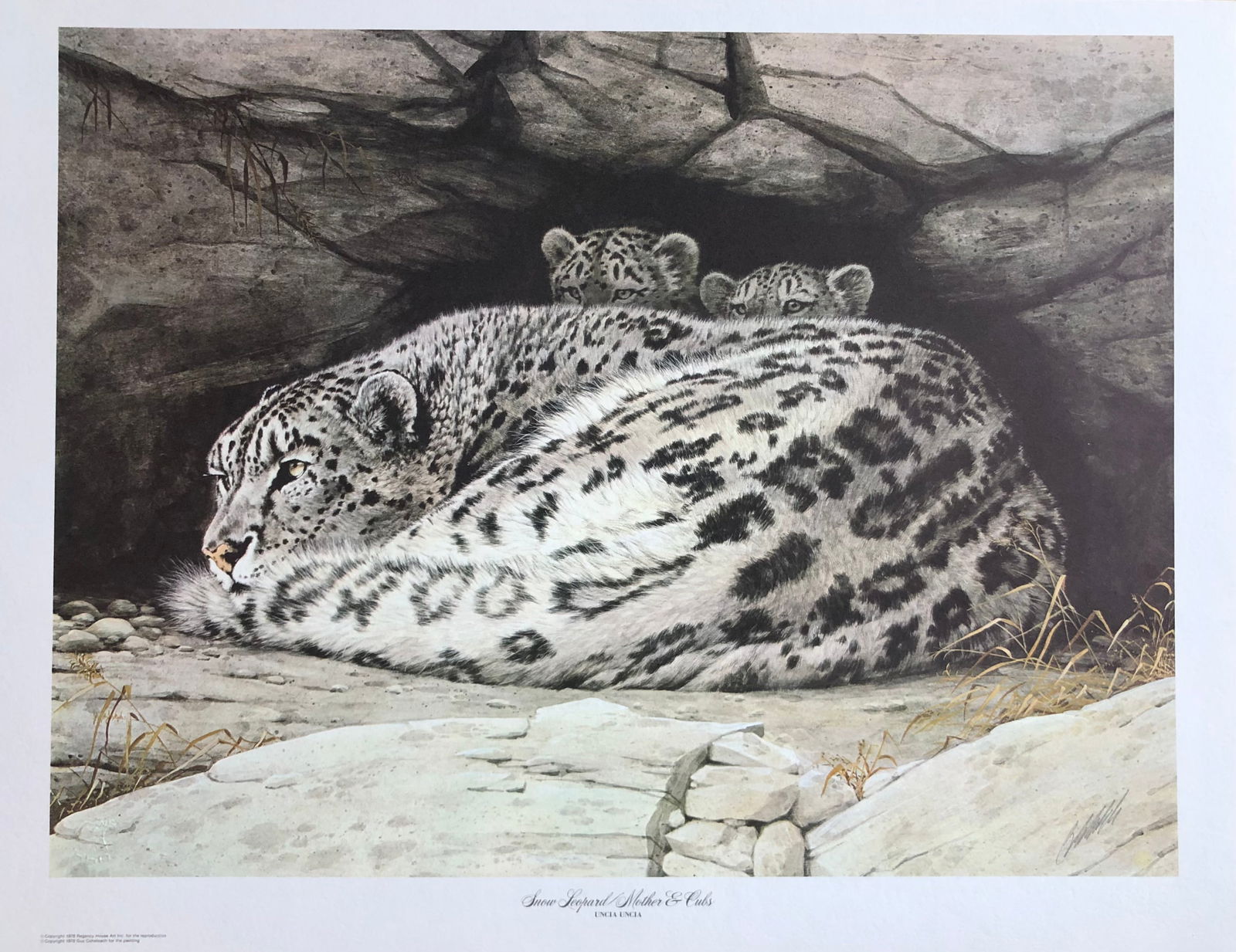 Guy Coheleach "Snow Leopard/Mother & Cubs" Signed Litho (1 of 7)