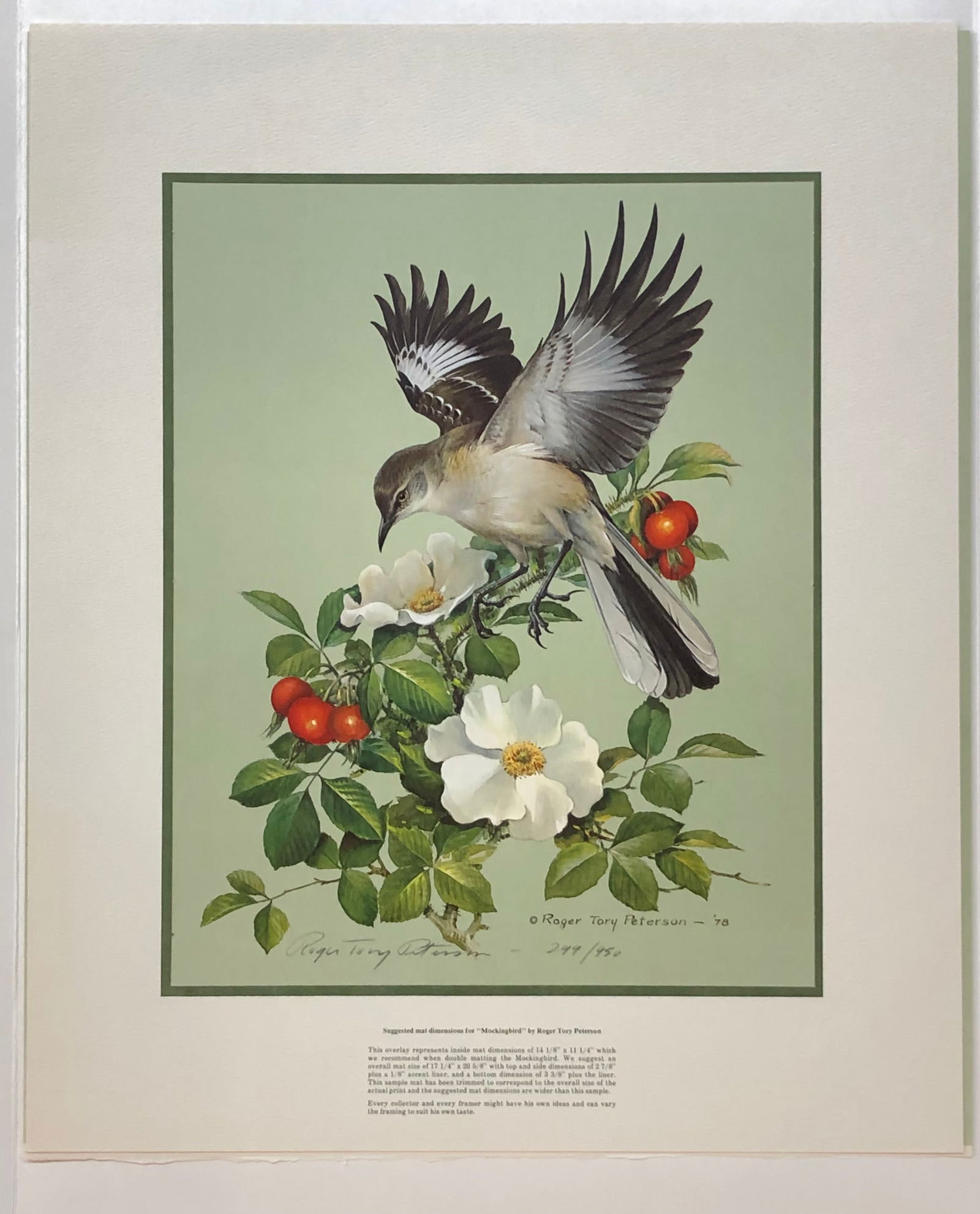 Roger T. Peters "Mockingbird" Signed Lithograph LE (1 of 6)