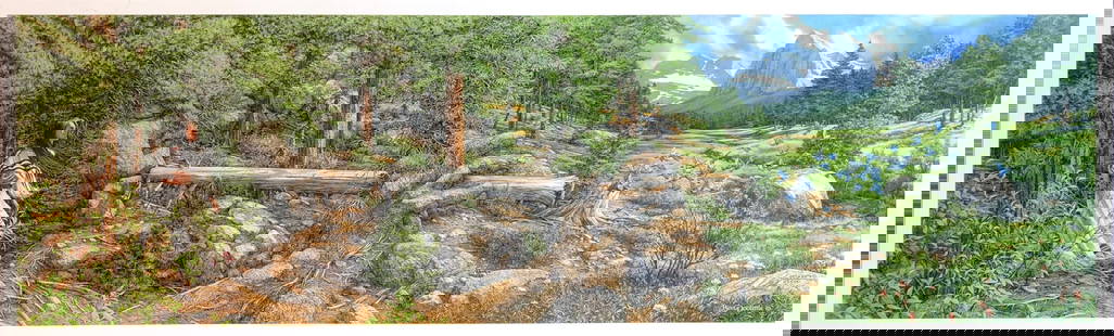Bev Doolittle "Music In The Wind" Signed Lithograph LE: Artist: Bev Doolittle Title: Music In The Wind Medium: Lithograph on Paper Limited Edition: 33985/43500 Art Dimensions: 11 H x 37 W inches ARTIST BIO: Bev Do