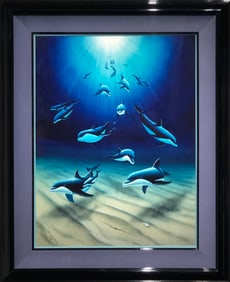 Robert Wyland "Dolphin Heaven" Signed Ilfochrone (Cibachrome) LE