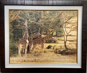 Simon Combes "Tall Shadows" Signed Litho LE