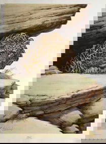 Guy Coheleach "Ambush" Signed Lithograph LE