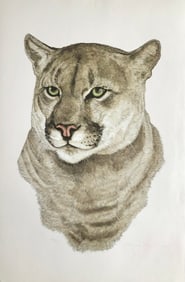 Jacquie Marie Vaux (Puma) Signed Lithograph LE