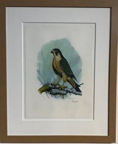 David Failingham "Peregrine" Signed Original Watercolor on Paper