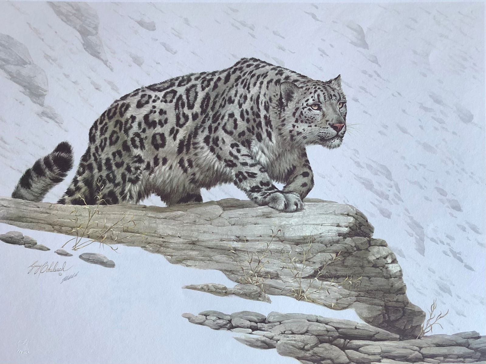 Guy Coheleach "Mountain Stalk" Signed Litho LE: Artist: Guy Coheleach Title: Guy Coheleach "Mountain Stalk" Signed Litho LE Medium: Lithograph on Paper Limited Edition: 290/1000 Art Dimensions: 23.0 x 31.0 x 1.0 inch ARTIST BIO: From