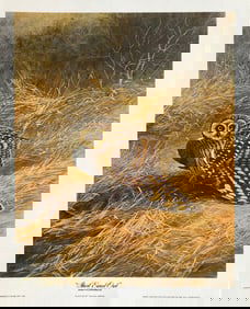 Guy Coheleach "Short Eared Owl" Signed Lithograph