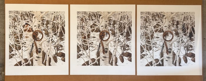 Bev Doolittle (Two More Indian Horses) Limited Edition Signed Complete Triptych Print