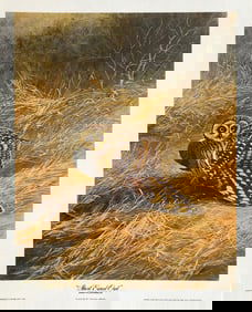 Guy Coheleach "Short Eared Owl" Signed Lithograph