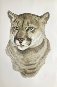 Jacquie Marie Vaux (Puma) Signed Lithograph LE
