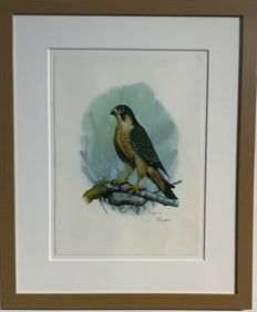 David Failingham "Peregrine" Signed Original Watercolor on Paper