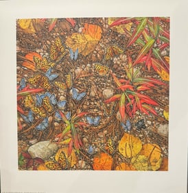 Bev Doolittle (The Spirit Takes Light) Limited Edition Signed Print