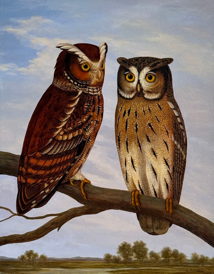 H. Kimbel, "Madagascan Owls - Rajah's Scops Owl", Signed Original, Oil on Canvas (1 of 4)