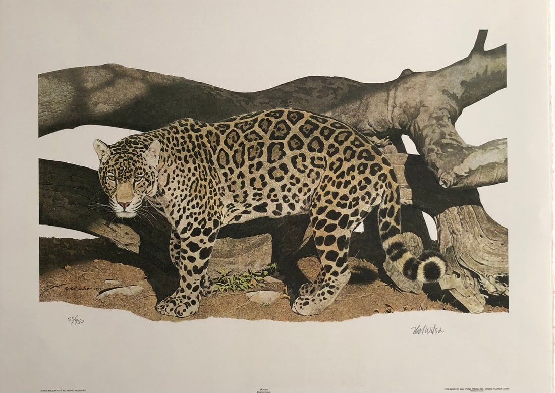 Nick Wilson "Jaguar" Signed Lithograph (1 of 6)