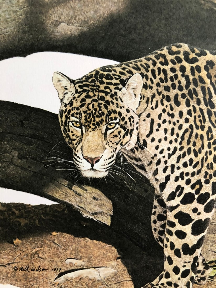 Nick Wilson "Jaguar" Signed Lithograph - 2