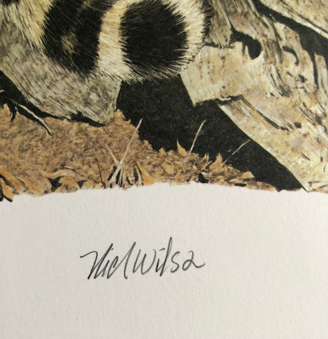 Nick Wilson "Jaguar" Signed Lithograph - 3