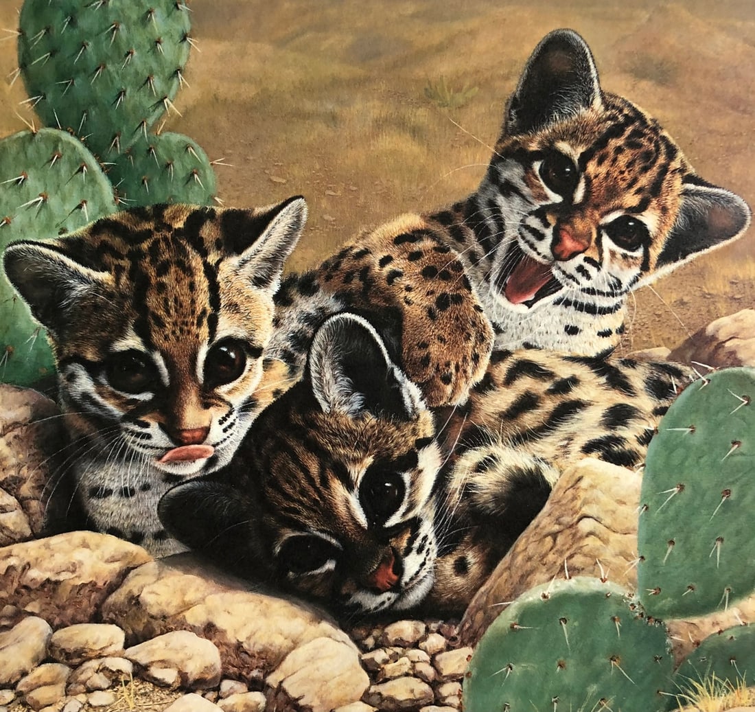 Charles Frace "Ocelot Kittens" Signed Lithograph LE - 2