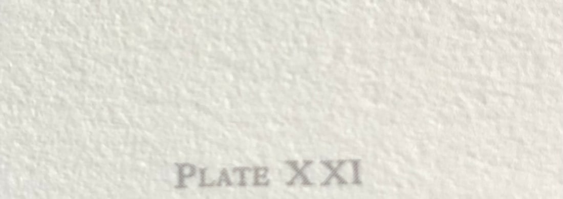 Charles Frace "Ocelot Kittens" Signed Lithograph LE - 6