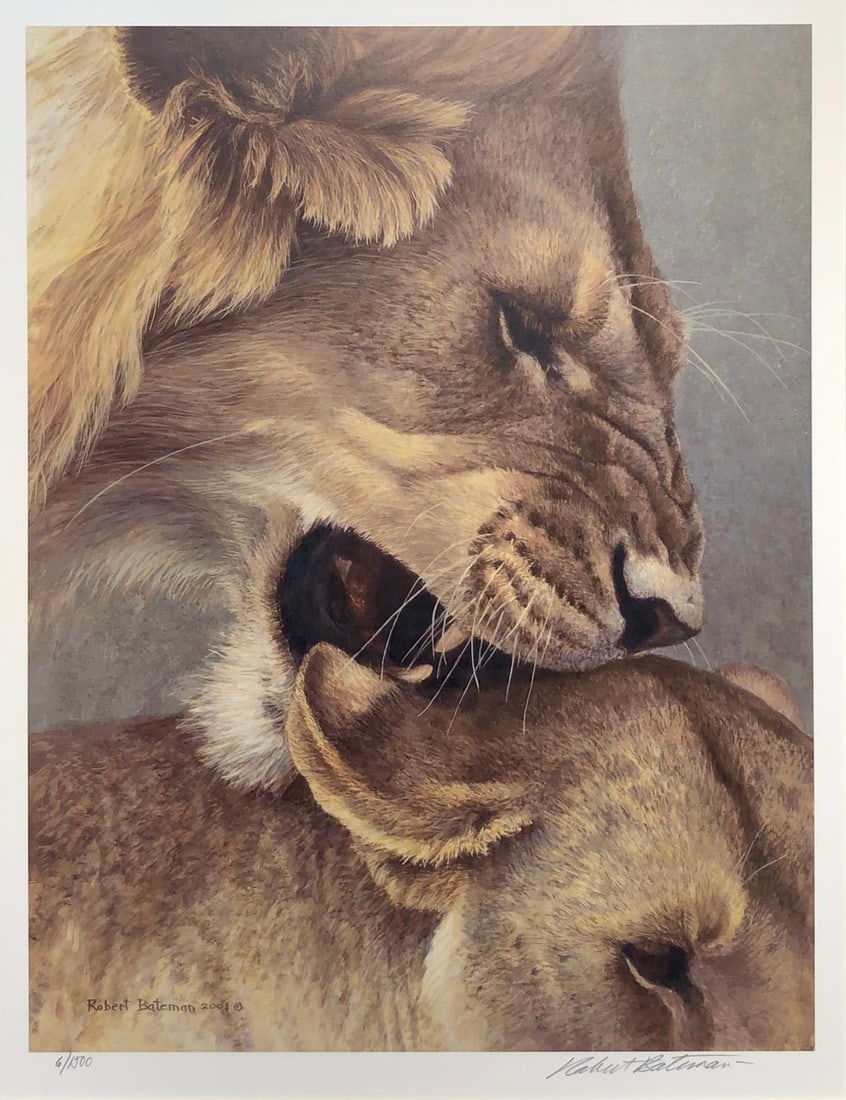 Robert Bateman "The Mating Game" Signed Lithograph LE: Artist: Robert Bateman Title: Robert Bateman "The Mating Game" Signed Lithograph LE Medium: Lithograph on Paper Limited Edition: 6/1500 Art Dimensions: 28.0 x 23.0 x 2.0 inch ARTIST BIO: Artist