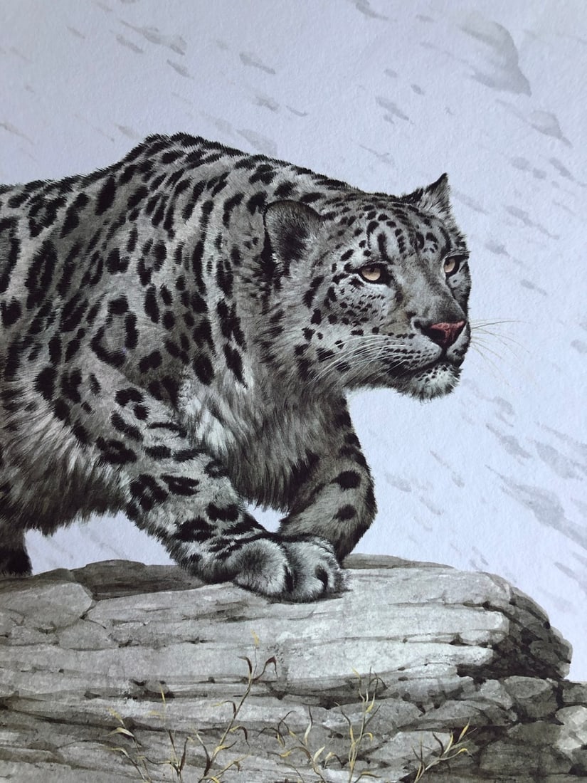 Guy Coheleach "Mountain Stalk" Signed Litho LE - 2