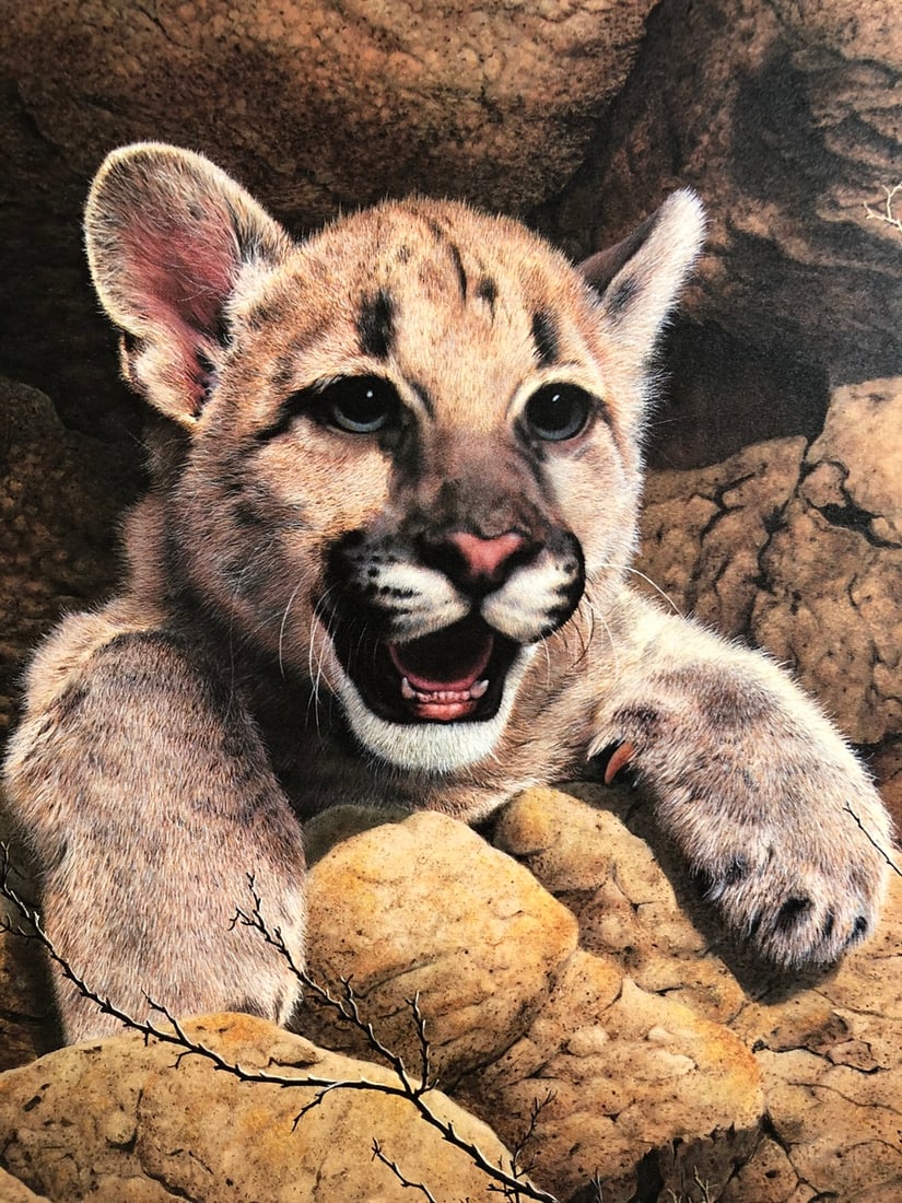 Charles Frace "Cougar" Signed Lithograph LE - 2