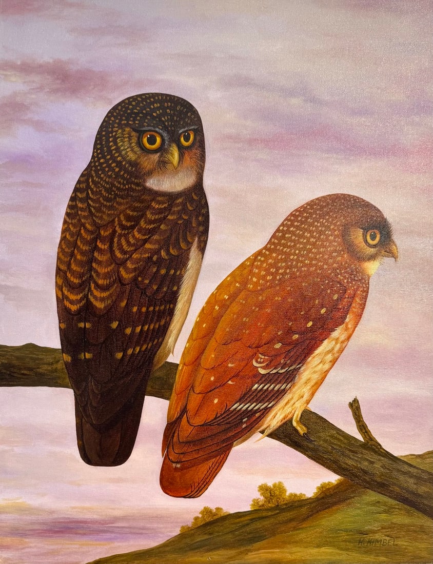 H. Kimbel, "Owls - New Britain Hawk Owl", Signed Original Acrylic on Canvas (1 of 4)