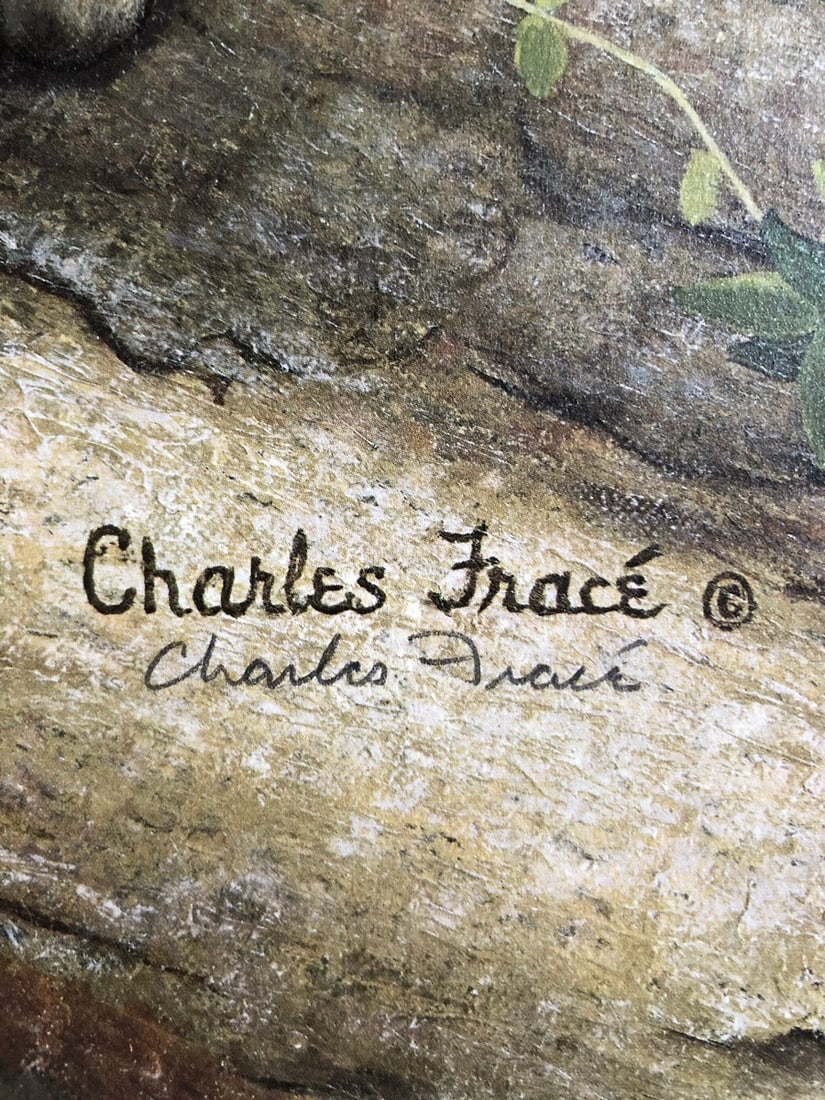 Charles Frace "Clouded Leopard Cub" Signed Litho LE - 3