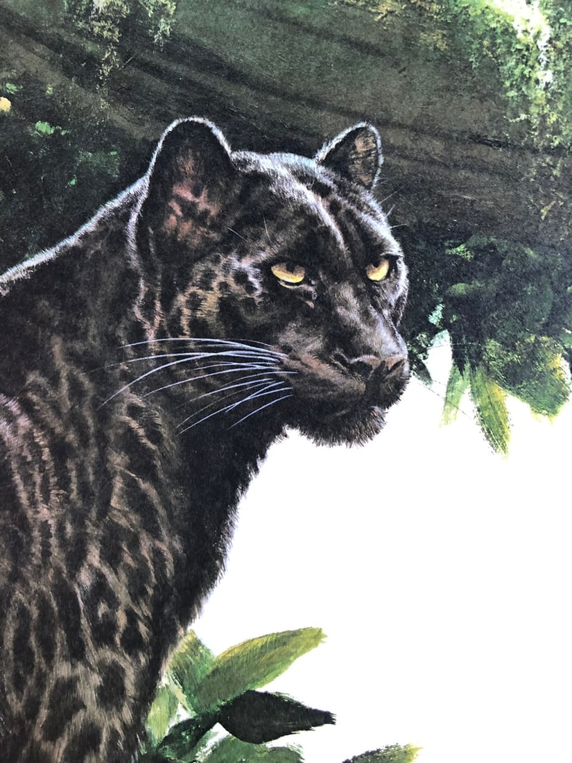 Guy Coheleach "Black Watch" Signed Litho LE - 2