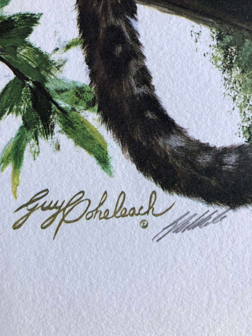 Guy Coheleach "Black Watch" Signed Litho LE - 3