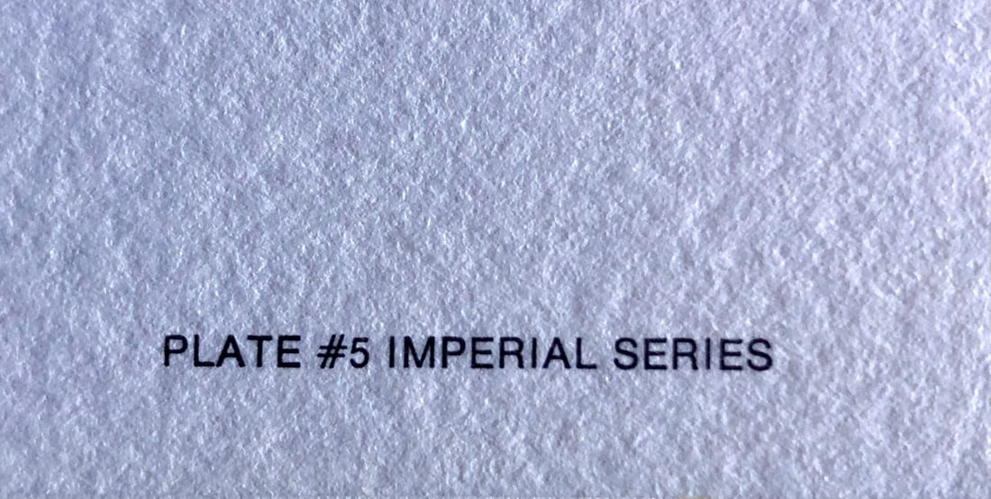 Guy Coheleach "Black Watch" Signed Litho LE - 5