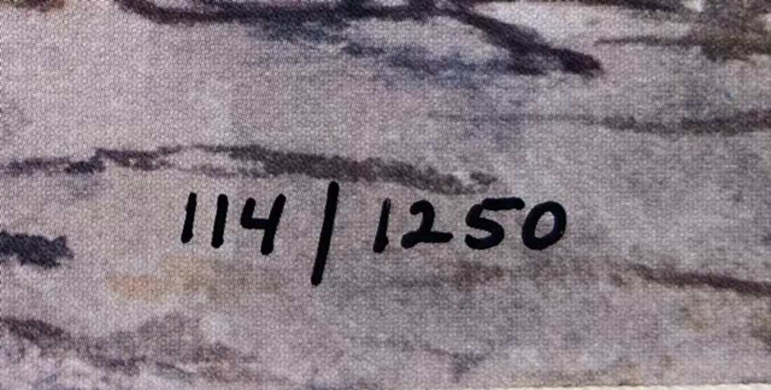 Steve Hanks "Connections" Signed Lithograph LE - 5