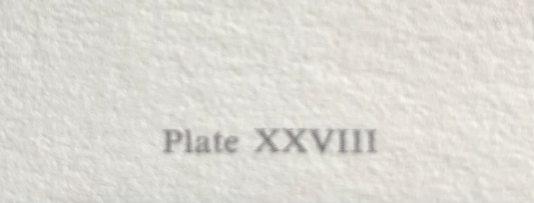 Charles Frace "Cougar" Signed Lithograph LE - 6