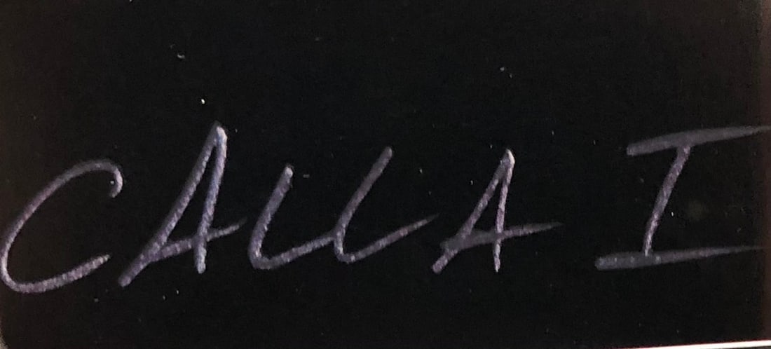 Brian Davis "Calla I" Signed Lithograph - 3