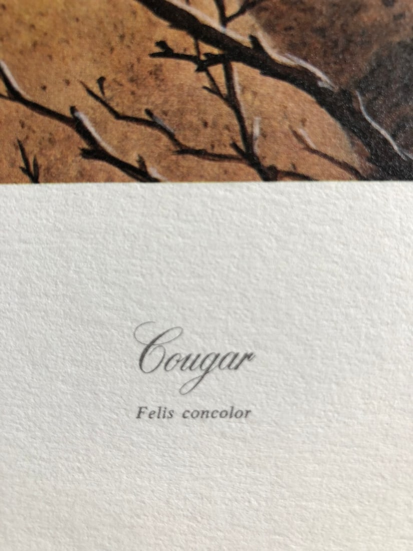 Charles Frace "Cougar" Signed Lithograph LE - 4