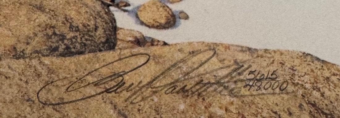 Bev Doolittle (Eagle Heart) Limited Edition Signed Print - 4