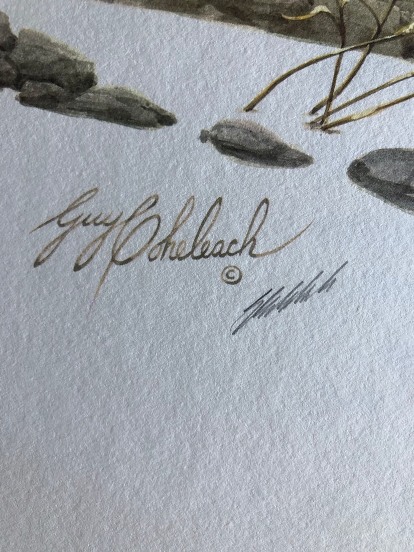 Guy Coheleach "Mountain Stalk" Signed Litho LE - 4