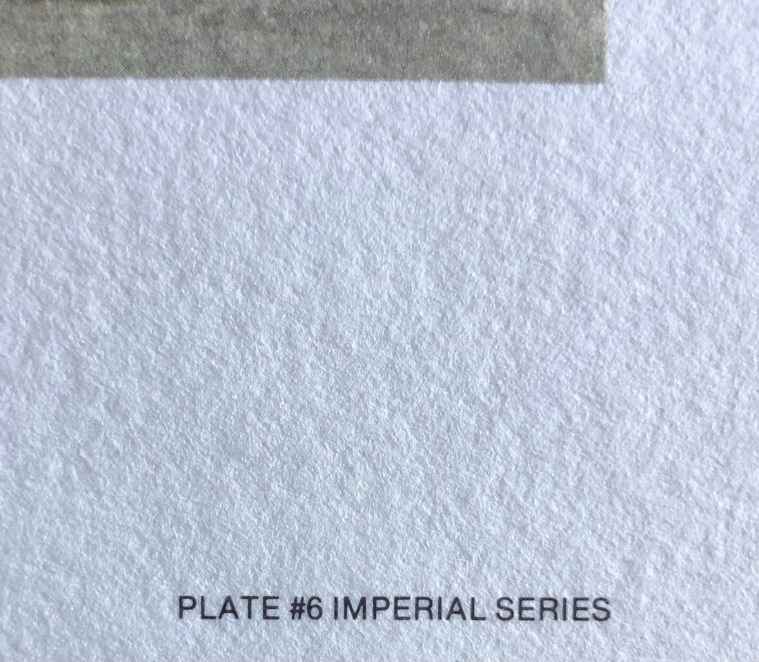 Guy Coheleach "Mountain Stalk" Signed Litho LE - 5