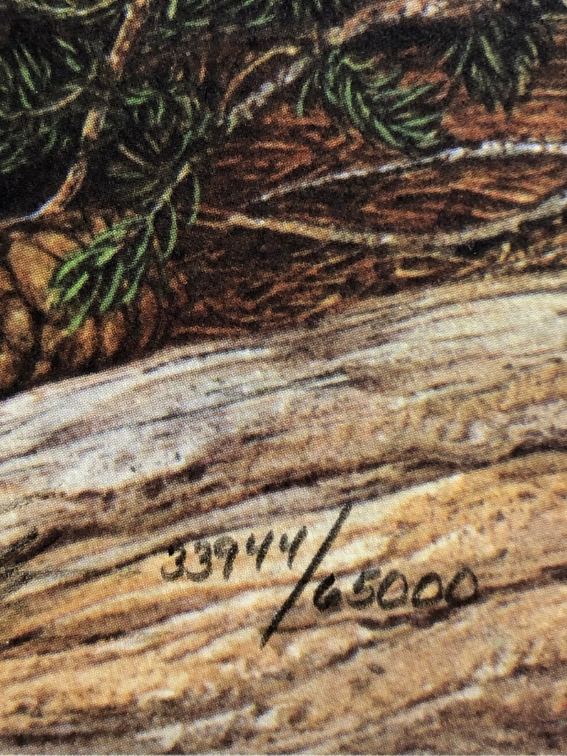 Bev Doolittle "Prayer For The Wild Things" Signed Lithograph LE - 5