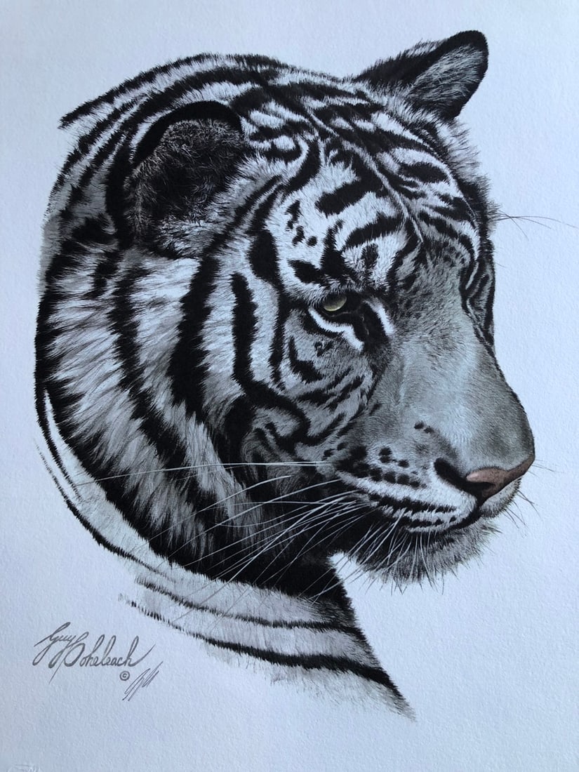 Guy Coheleach "White Tiger Head" Signed Lithograph - 2