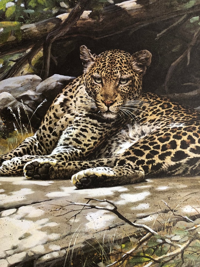 Guy Coheleach "Leopard's Lair" Signed Lithograph - 2