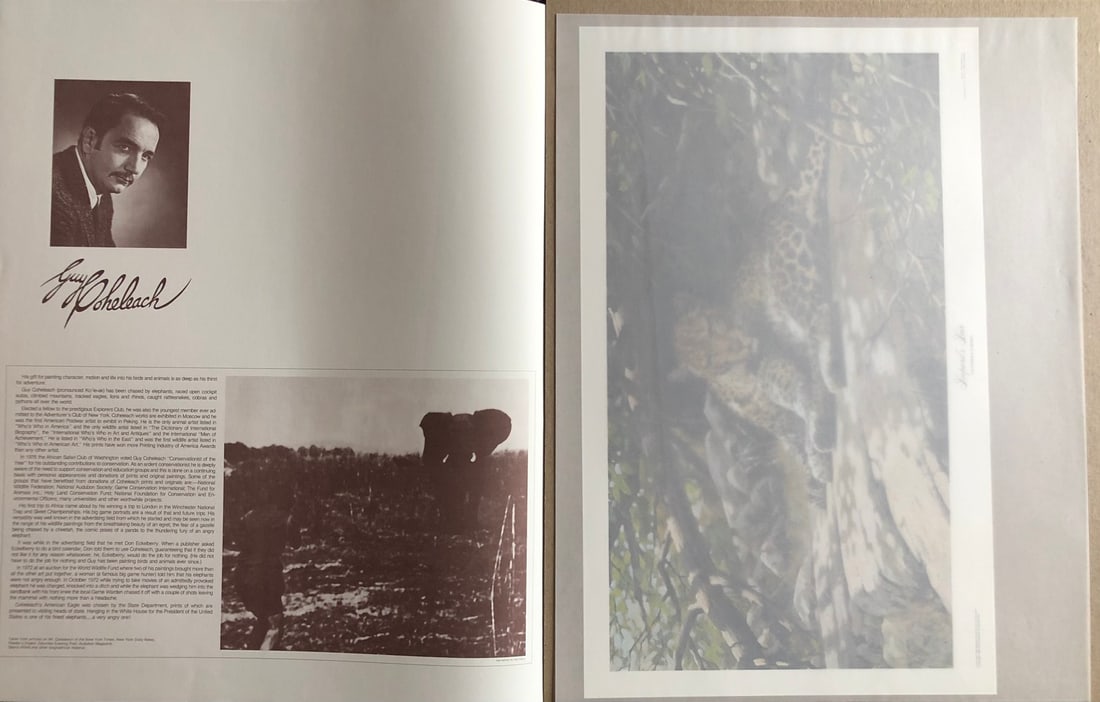 Guy Coheleach "Leopard's Lair" Signed Lithograph - 5